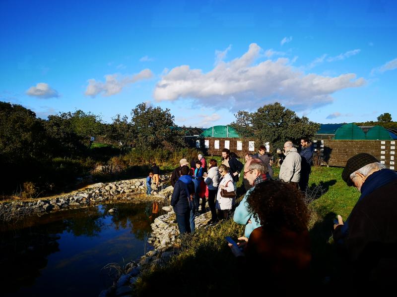 15- Visite d'une mare pédagogique