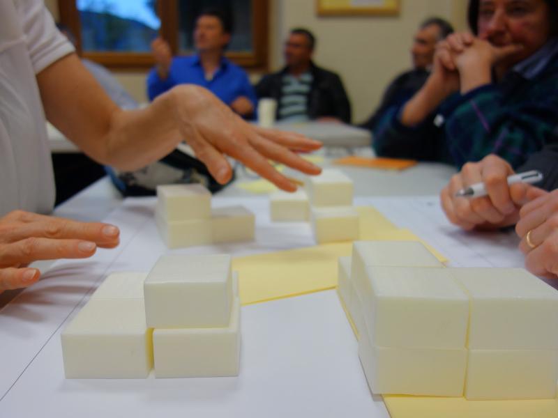 4- Atelier pédagogique sur la division parcellaire