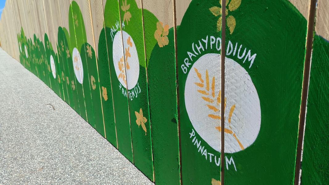 Détail de la fresque réalisée sur le barriérage de chantier en Mars 2024